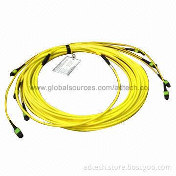 Fiber-optic Patch Cord, MPO/MTP Connector, 48-fiber Single Mode